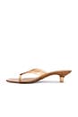view 5 of 5 SANDALES TRACIE-J in Tan