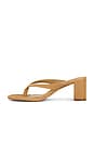 view 5 of 5 Dodie Sandals in Tan Suede