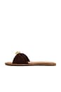 view 5 of 5 PLAT DIPSY in Brown Suede