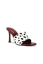 view 2 of 5 Paula-a Sandal in Dalmatian