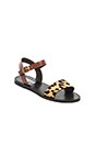 view 2 of 5 Dondi Cow Hair Sandal in Leopard