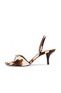 view 5 of 5 Henrietta-H Sandal in Cow Print