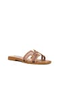 view 2 of 5 Hadyn Mesh Sandal in Mocha