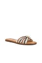 view 2 of 5 Dipsy Sandal in Brown Raffia
