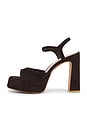 view 5 of 5 SANDALIA LIANDRA in Brown Suede