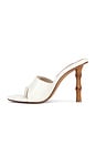 view 5 of 5 Briata Heels in Bone