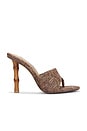 view 1 of 5 Briata Heels in Brown Raffia