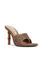 view 2 of 5 Briata Heels in Brown Raffia