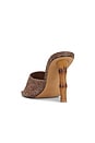 view 3 of 5 Briata Heels in Brown Raffia