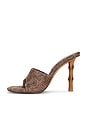 view 5 of 5 Briata Heels in Brown Raffia