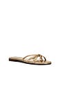 view 2 of 5 Calissi Sandal in Champagne