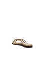 view 3 of 5 Calissi Sandal in Champagne