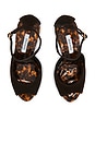 view 6 of 7 Phillipa Sandal in Tortoise Multi in Brown & Tortoise