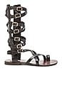 view 1 of 5 Rivaal Gladiator Sandal in Black