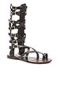 view 2 of 5 Rivaal Gladiator Sandal in Black