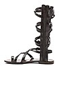 view 5 of 5 Rivaal Gladiator Sandal in Black