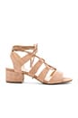 view 1 of 5 TACÓN KITTYY in Sand Suede