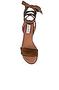 view 4 of 5 Adrianne Sandal in Chestnut Suede