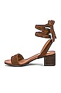 view 5 of 5 Adrianne Sandal in Chestnut Suede