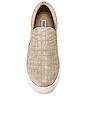 view 4 of 6 ZAPATILLA DEPORTIVA GILLS in Taupe Crocco