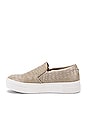 view 5 of 6 ZAPATILLA DEPORTIVA GILLS in Taupe Crocco