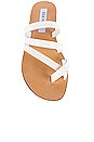 view 4 of 5 SANDALIA RINGTONE in White Croc