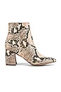 view 1 of 5 Nadalie Bootie in Tan Snake