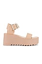 view 1 of 5 Lake Flatform Sandal in Blush Leather