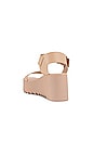 view 3 of 5 Lake Flatform Sandal in Blush Leather