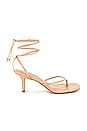 view 1 of 2 Lori Kitten Heel Sandal in Tan Lizard