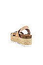 view 3 of 5 Circa Flatform Sandal in Natural Multi