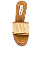 view 4 of 5 Marisol Platform Sandal in Natural Raffia