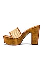 view 5 of 5 Marisol Platform Sandal in Natural Raffia