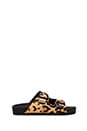 view 1 of 5 Boundree Sandal in Leopard Pony