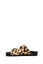 view 5 of 5 Boundree Sandal in Leopard Pony