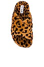 view 4 of 5 Fuzed Slipper in Leopard