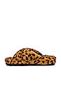 view 5 of 5 Fuzed Slipper in Leopard