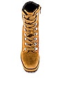 breccan tan