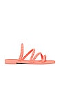 view 1 of 5 SANDALES SELINA in Orange