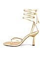 view 5 of 5 Khari Heel in Gold