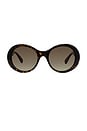 view 1 of 3 Falabella Sunglasses in Dark Havana & Gradient Brown