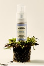 view 5 of 6 Dry Shampoo in 
