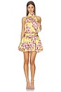 view 2 of 4 Isabeli Mini Dress in Lemon Rose