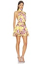 view 3 of 4 Isabeli Mini Dress in Lemon Rose