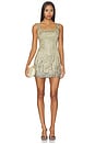 view 1 of 4 Padova Mini Dress in Champagne Sage