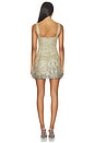 view 4 of 4 Padova Mini Dress in Champagne Sage