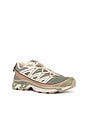 view 2 of 6 CHAUSSURES XT-6 EXPANSE SEASONAL in Deep Lichen Green, Cement, & Portabella