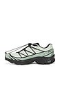 view 6 of 6 SNEAKERS XT-6 GORE-TEX in Sea Foam, Green Milieu, & Black