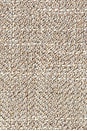 view 5 of 5 ビスチェ in Taupe Tweed