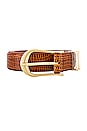 view 3 of 3 The Inga Belt in Cognac Lizard